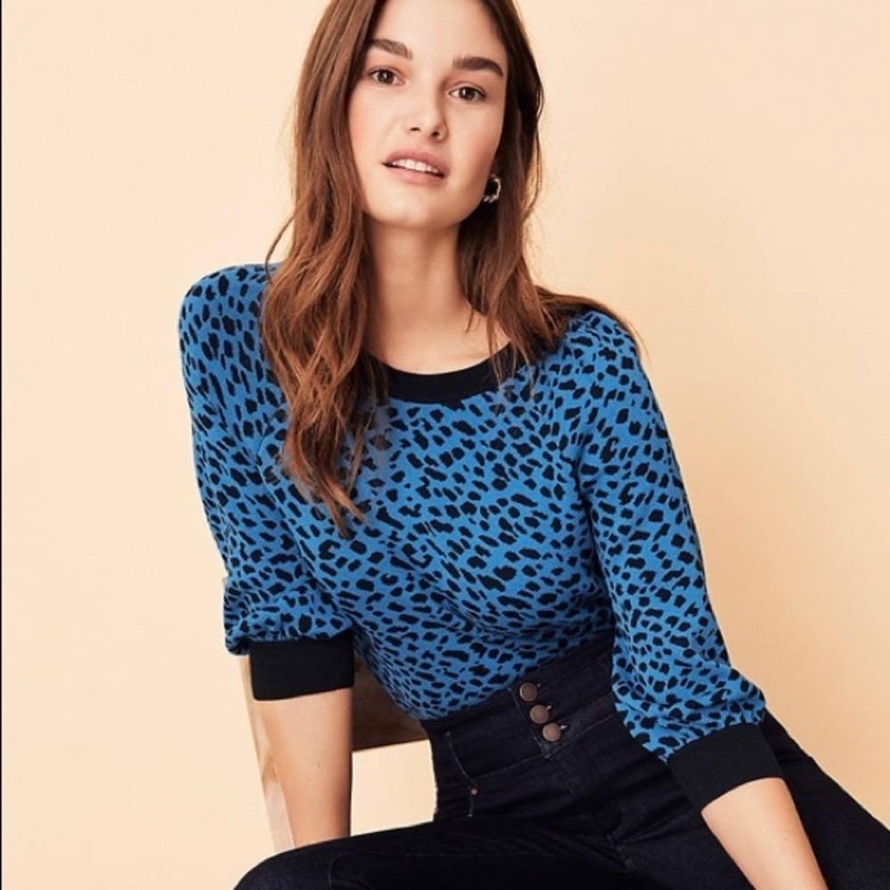 NEW ANN TAYLOR......raglan sleeve leopard sweater